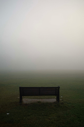 Bench, London – 2023