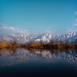 Dal Lake,