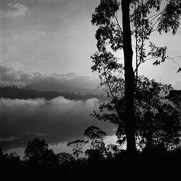 Morning Mist at Hatton,