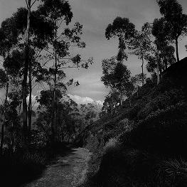 Mountain Pathway at Hatton,