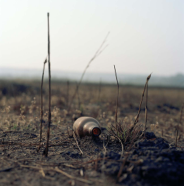 People’s Lager, Goa – 2019