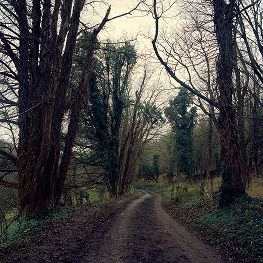 Road to the Reservoir, The Cotswolds,