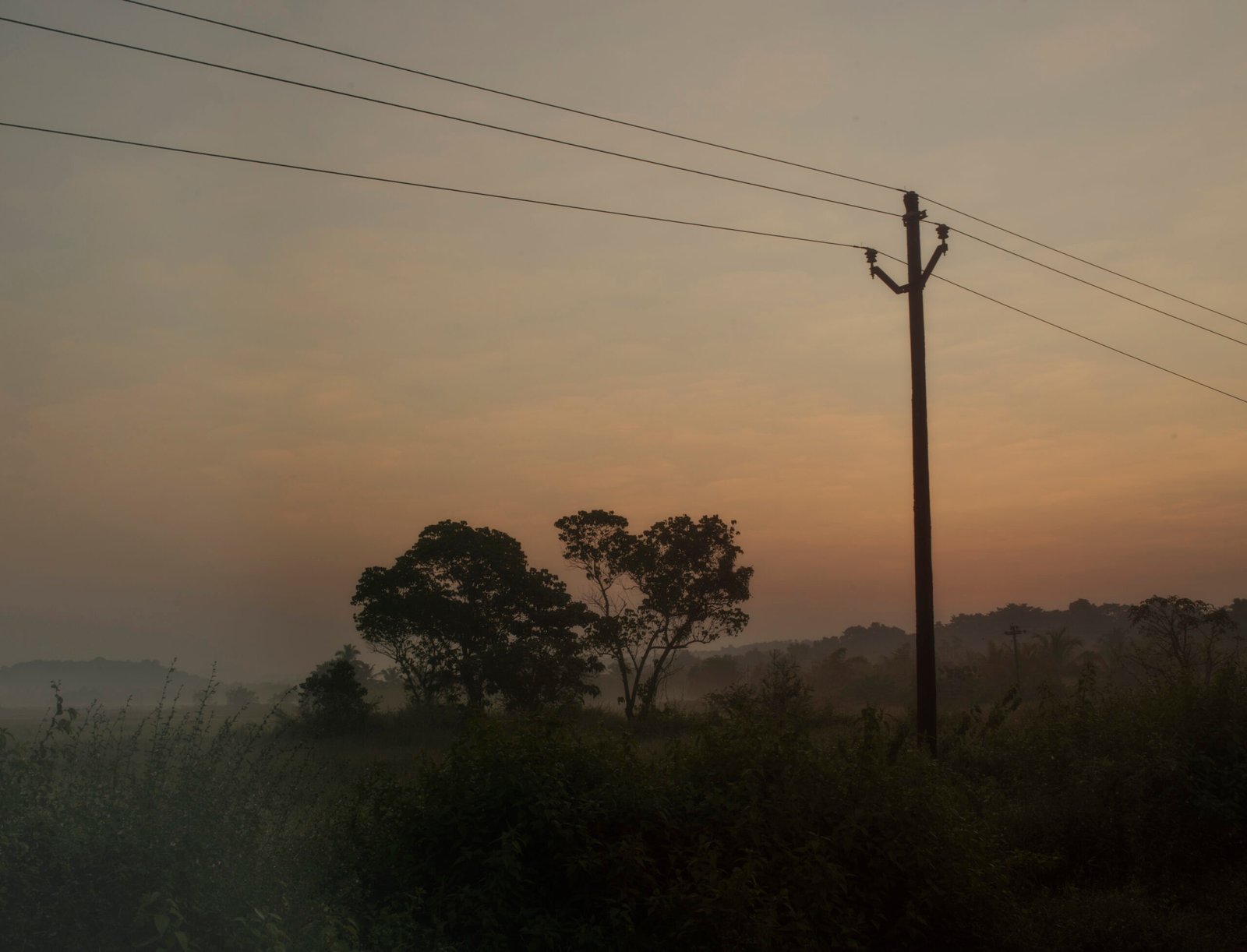 Socorro, Goa – 2019