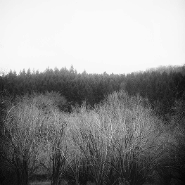 The Costwolds – 2019