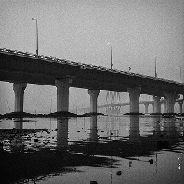 The Sealink at Dawn 1,