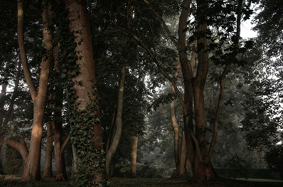 Three, Saint Albans – 2023