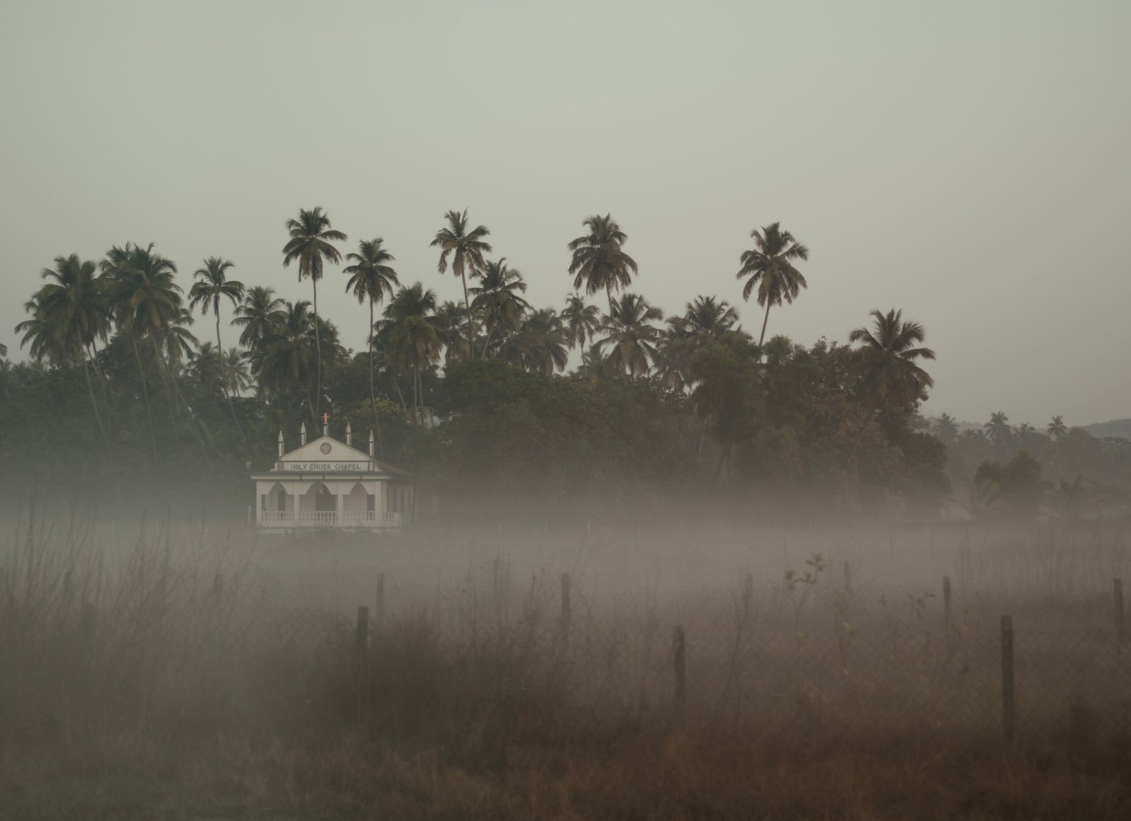 Vagator i, Goa – 2022