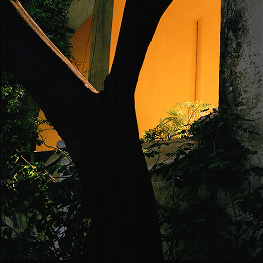 Yellow Wall, Pondicherry – 2021